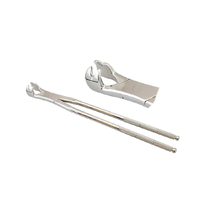 Premium Equine Dental Forceps Four Prong 21